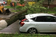 Ураган в Москве: страховщики упростили схему возмещения ущерба  