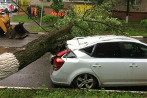 Ураган в Москве: страховщики упростили схему возмещения ущерба  